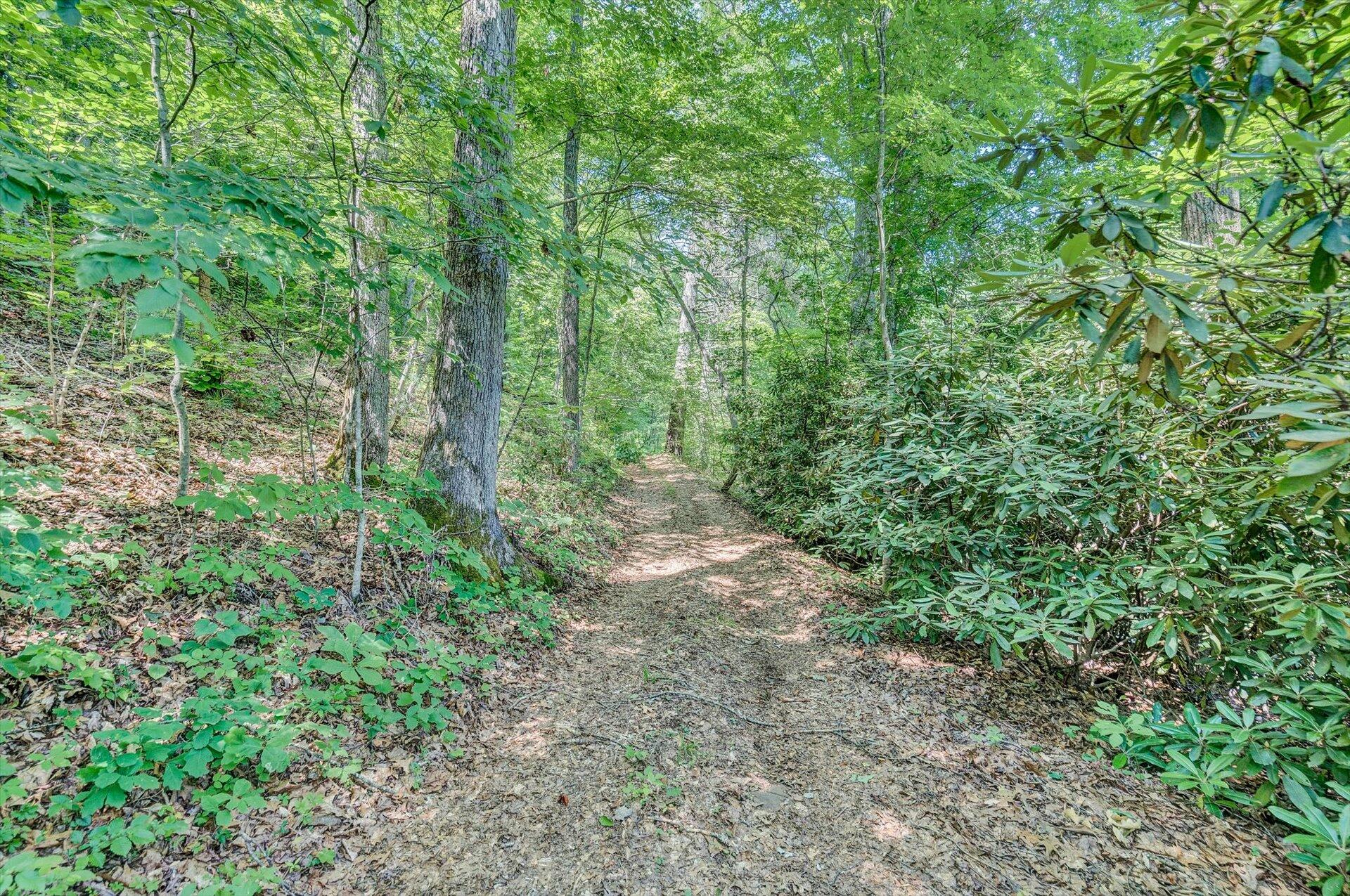 2446 Deer Run Road Ferrum, VA 24088 - Photo 135 of 144 Tons of Hiking Trails