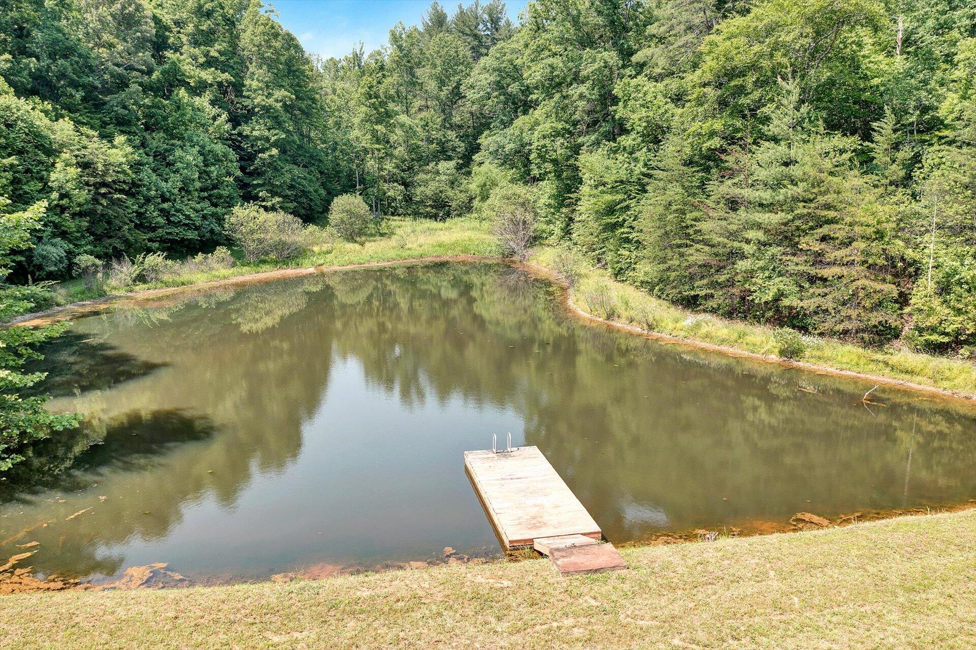 2446 Deer Run Road Ferrum, VA 24088 - Photo 32 of 144 Enjoy Swimming in the Pond