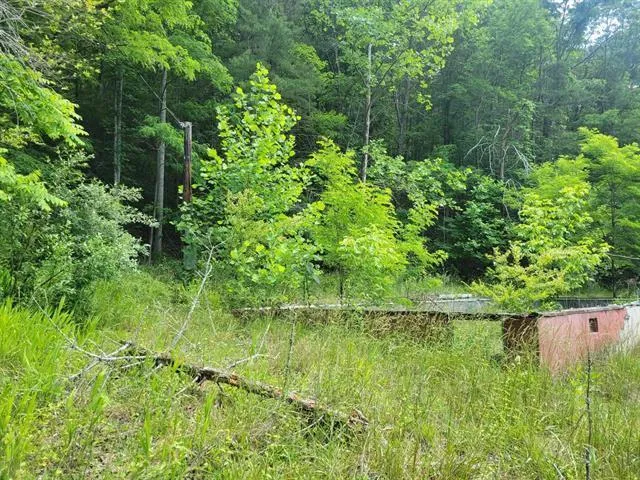 a backyard of a house with lots of green space and plants