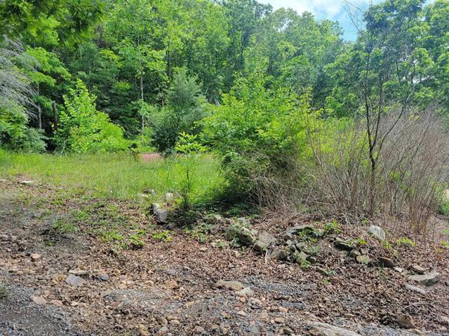 4231 Little Creek Road Dublin, VA 24084 - Photo 12 of 13 a big yard with lots of green space and deers