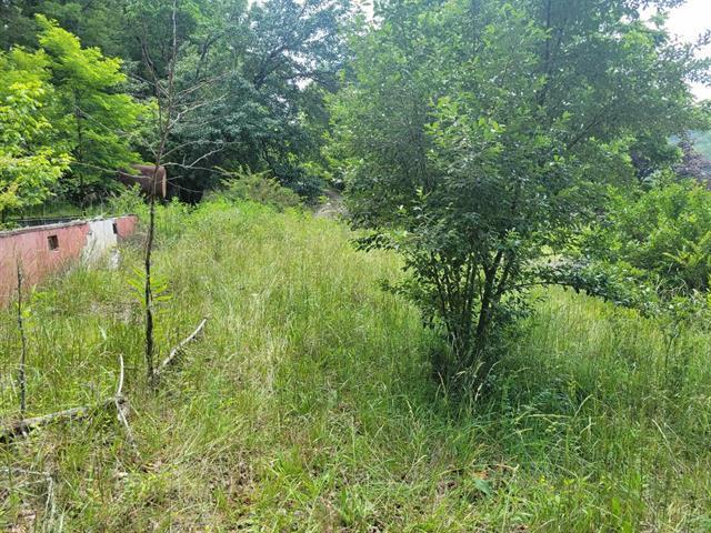 4231 Little Creek Road Dublin, VA 24084 - Photo 13 of 13 a view of a lush green space