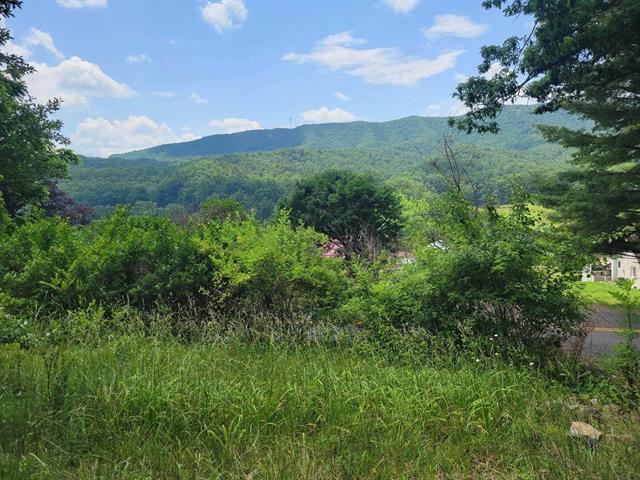 4231 Little Creek Road Dublin, VA 24084 - Photo 2 of 13 a view of a lush green forest with lots of trees