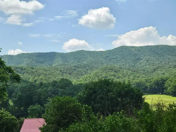 a view of a lake in middle of forest