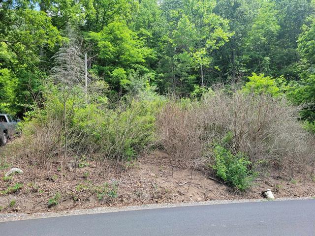 4231 Little Creek Road Dublin, VA 24084 - Photo 5 of 13 a view of a forest with a tree in the background