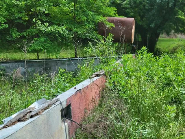 a view of a garden from a balcony