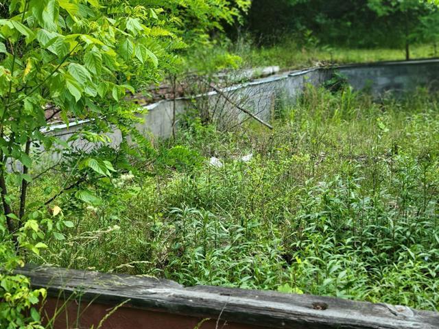 4231 Little Creek Road Dublin, VA 24084 - Photo 7 of 13 a view of a yard with a tree