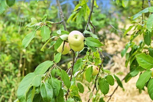 $485,000 | 20110 Jerusalem Grde, Lower Lake, CA 95457