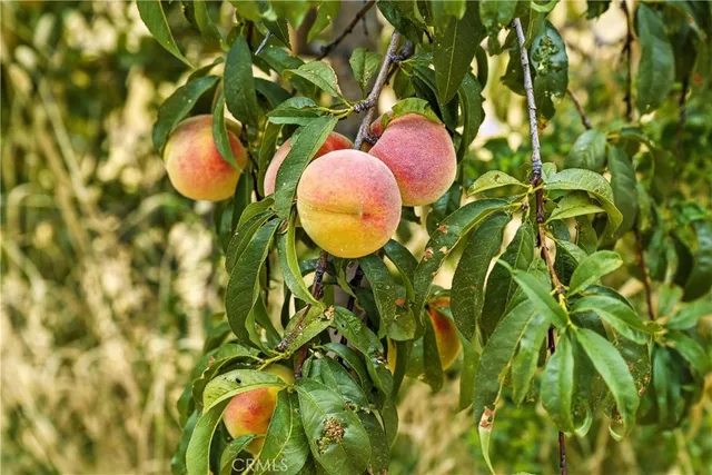 $485,000 | 20110 Jerusalem Grde, Lower Lake, CA 95457