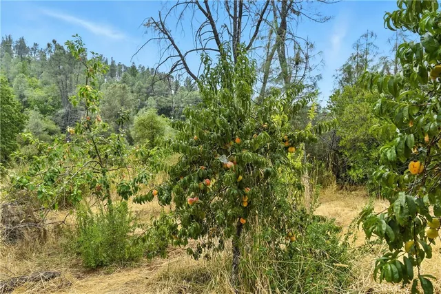 $485,000 | 20110 Jerusalem Grde, Lower Lake, CA 95457