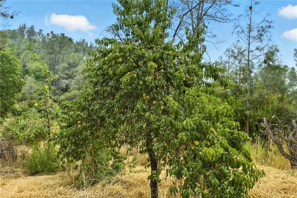 $425,000 | 20110 Jerusalem Grde, Lower Lake, CA 95457