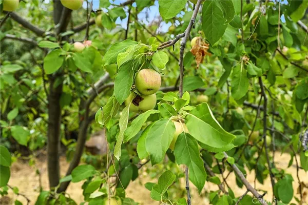 $425,000 | 20110 Jerusalem Grde, Lower Lake, CA 95457