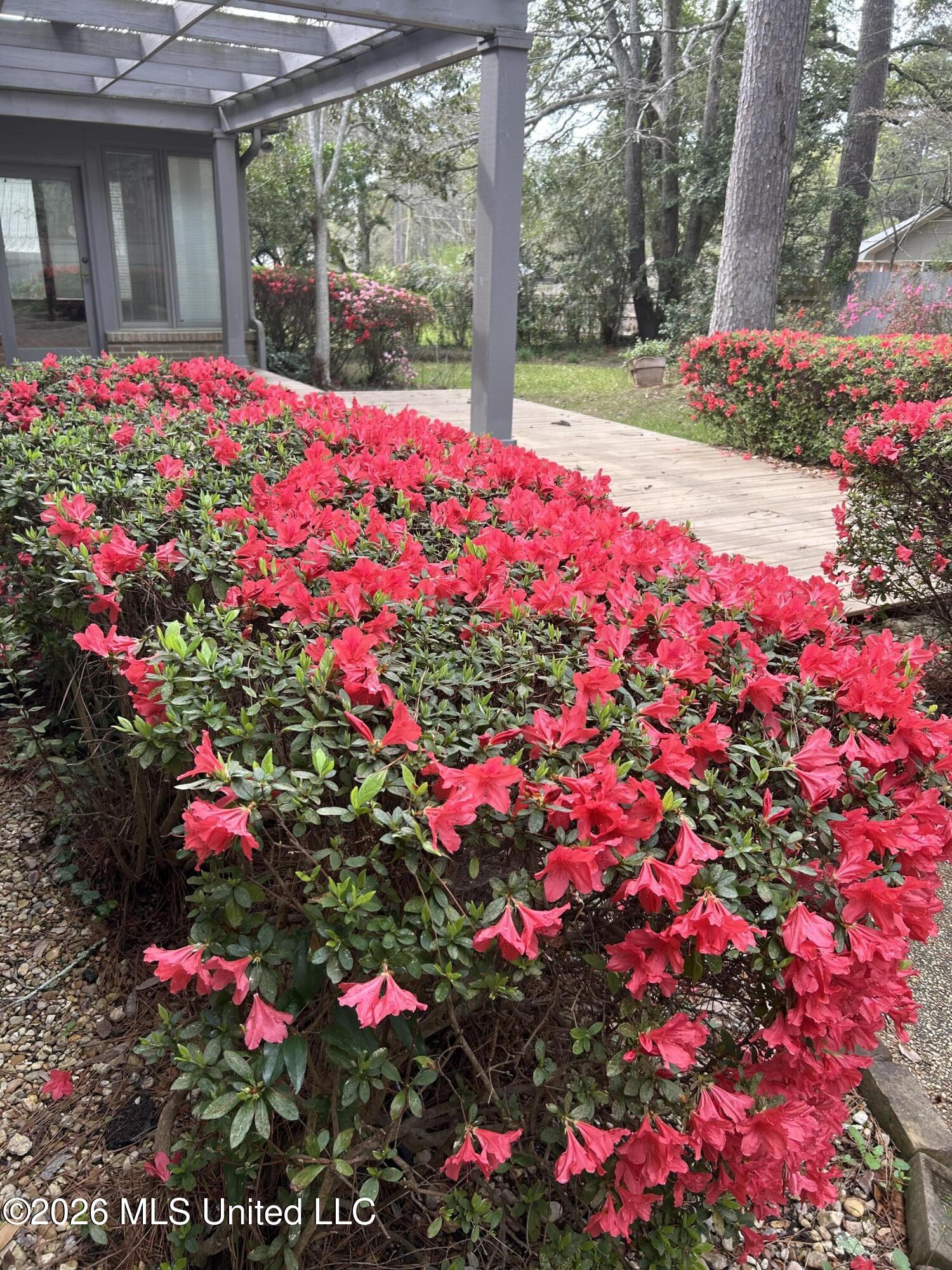 400 Charles Street Brookhaven, MS 39601 - Photo 48 of 49 flowers in the backyard