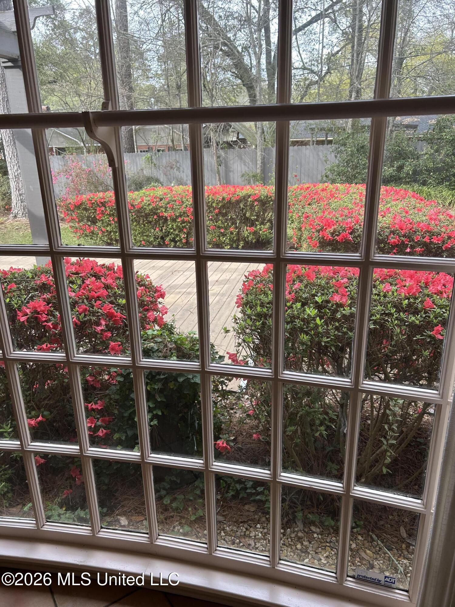 400 Charles Street Brookhaven, MS 39601 - Photo 49 of 49 flowers from the kitchen