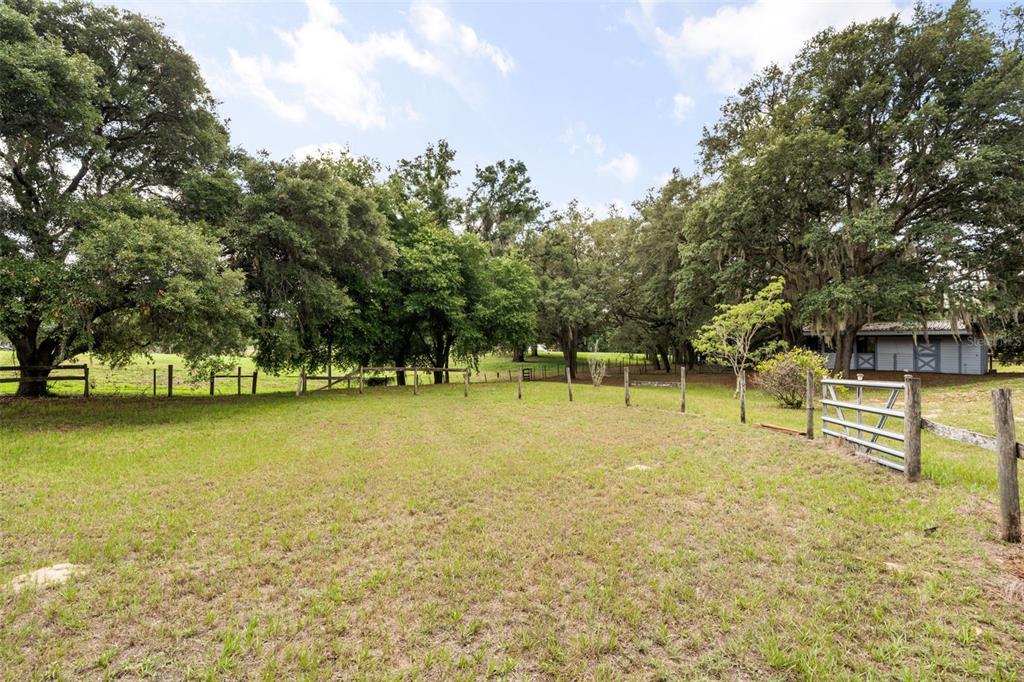 16104 Sandhill Road Winter Garden, FL 34787 - Photo 7 of 36