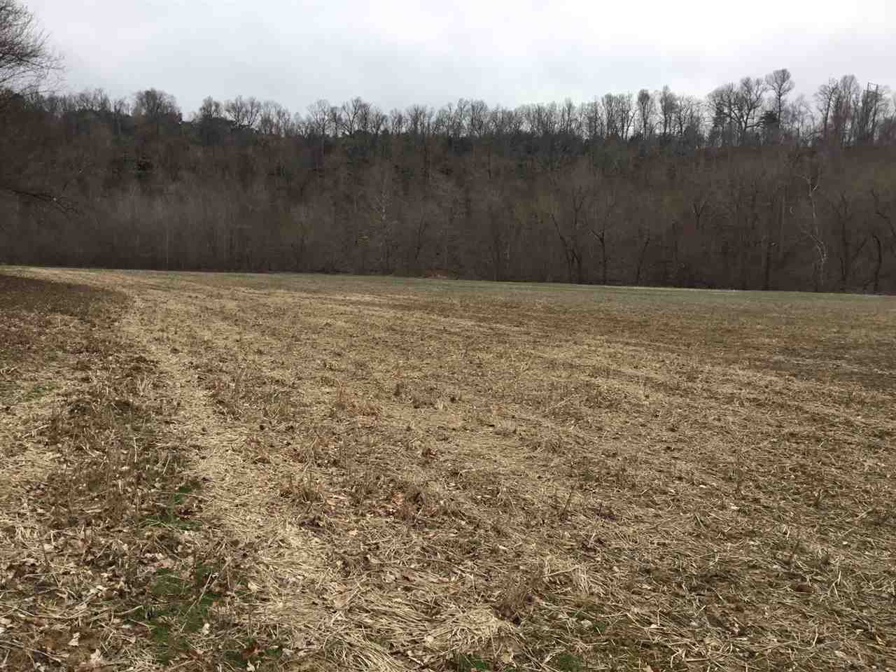 0 Morris Beshear Road Dawson Springs, KY 42408 - Photo 1 of 1 Gallery Image 1