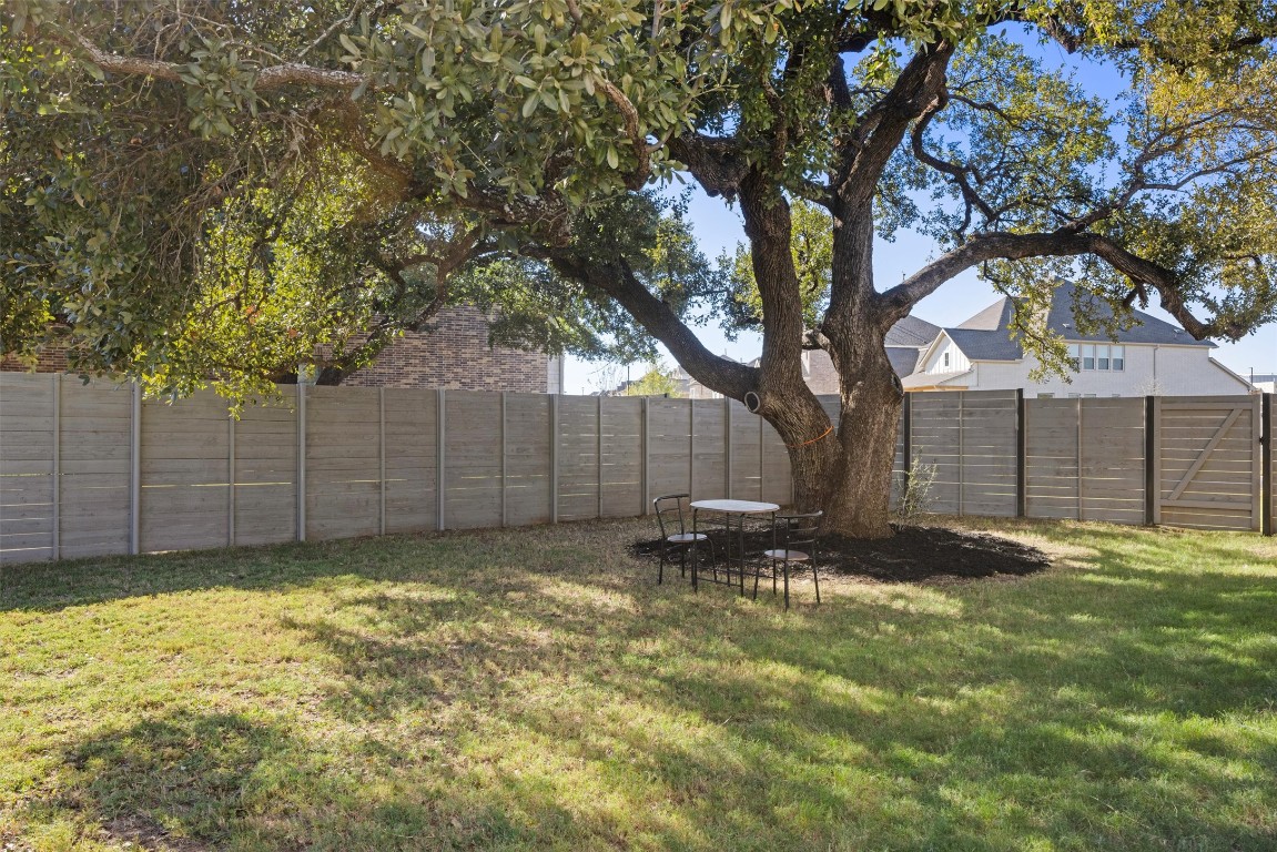 1132 Spring Gulch Lane Georgetown, TX 78628 - Photo 29 of 36 a view of a backyard with a tree