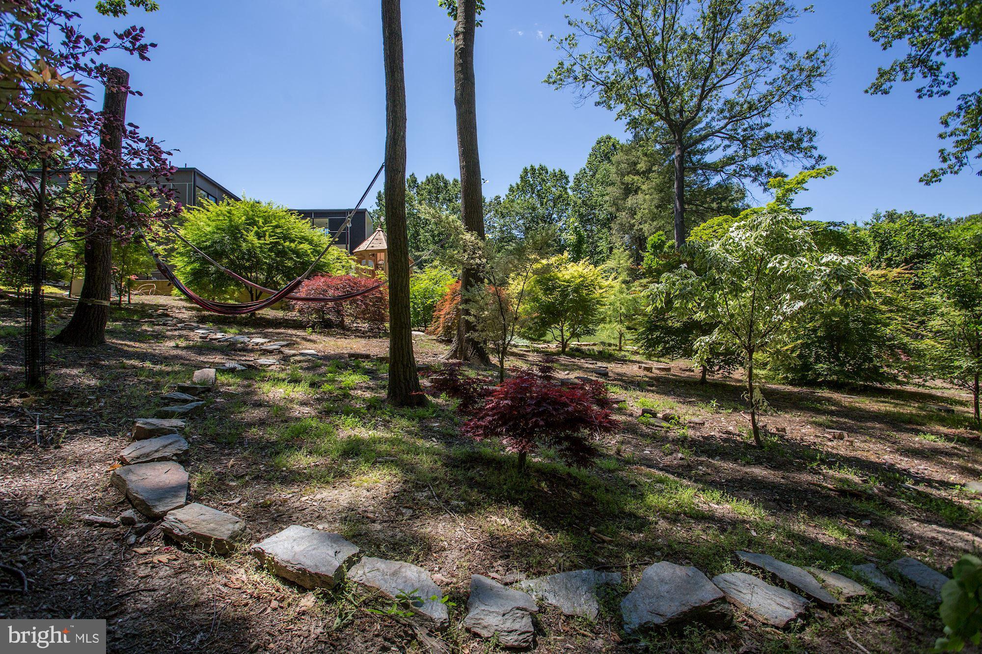 6756 Brigadoon Drive Bethesda, MD 20817 - Photo 82 of 88