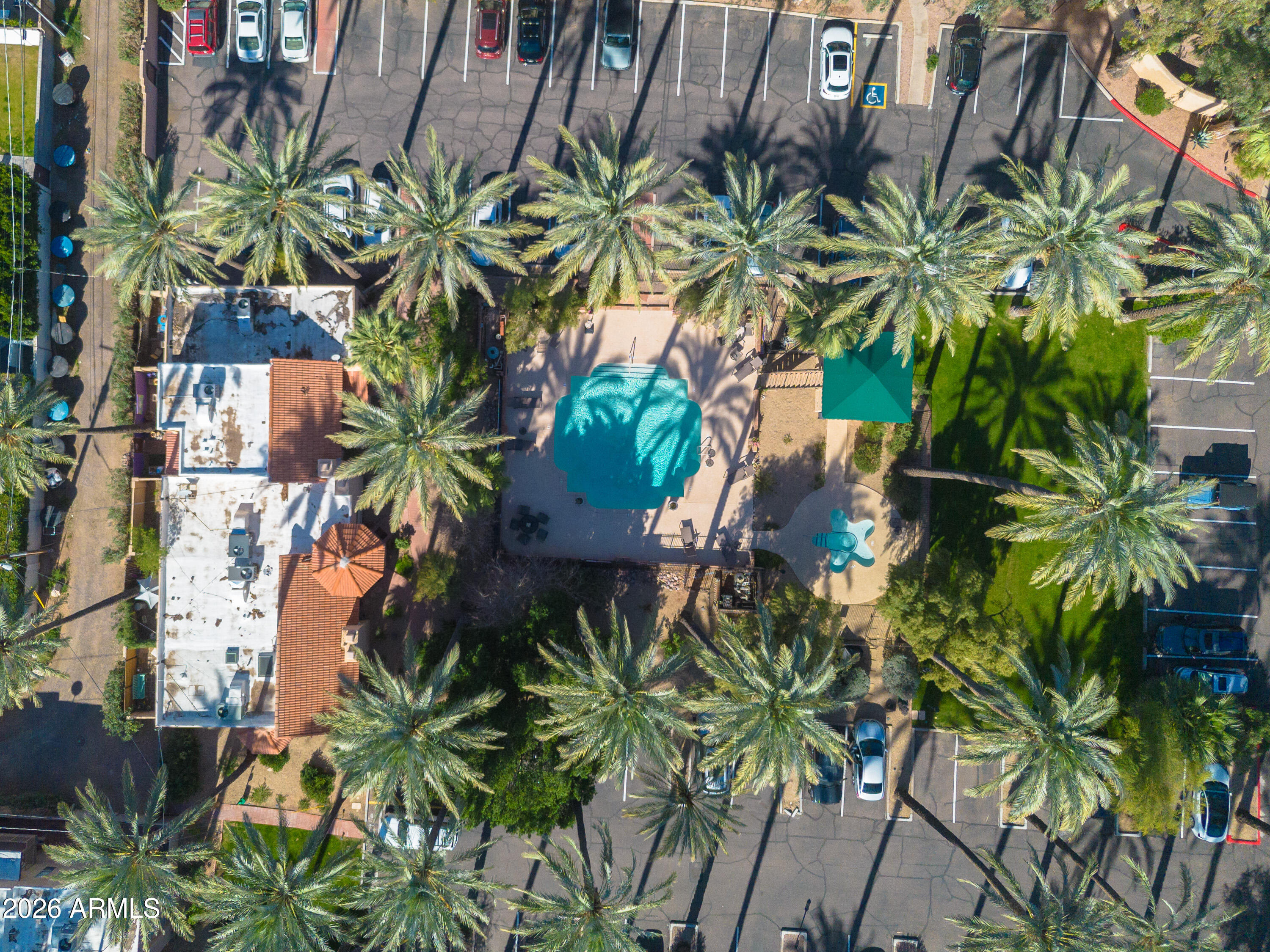 4540 North 44th Street, Unit 20 Phoenix, AZ 85018 - Photo 15 of 17 Date Palm Magic