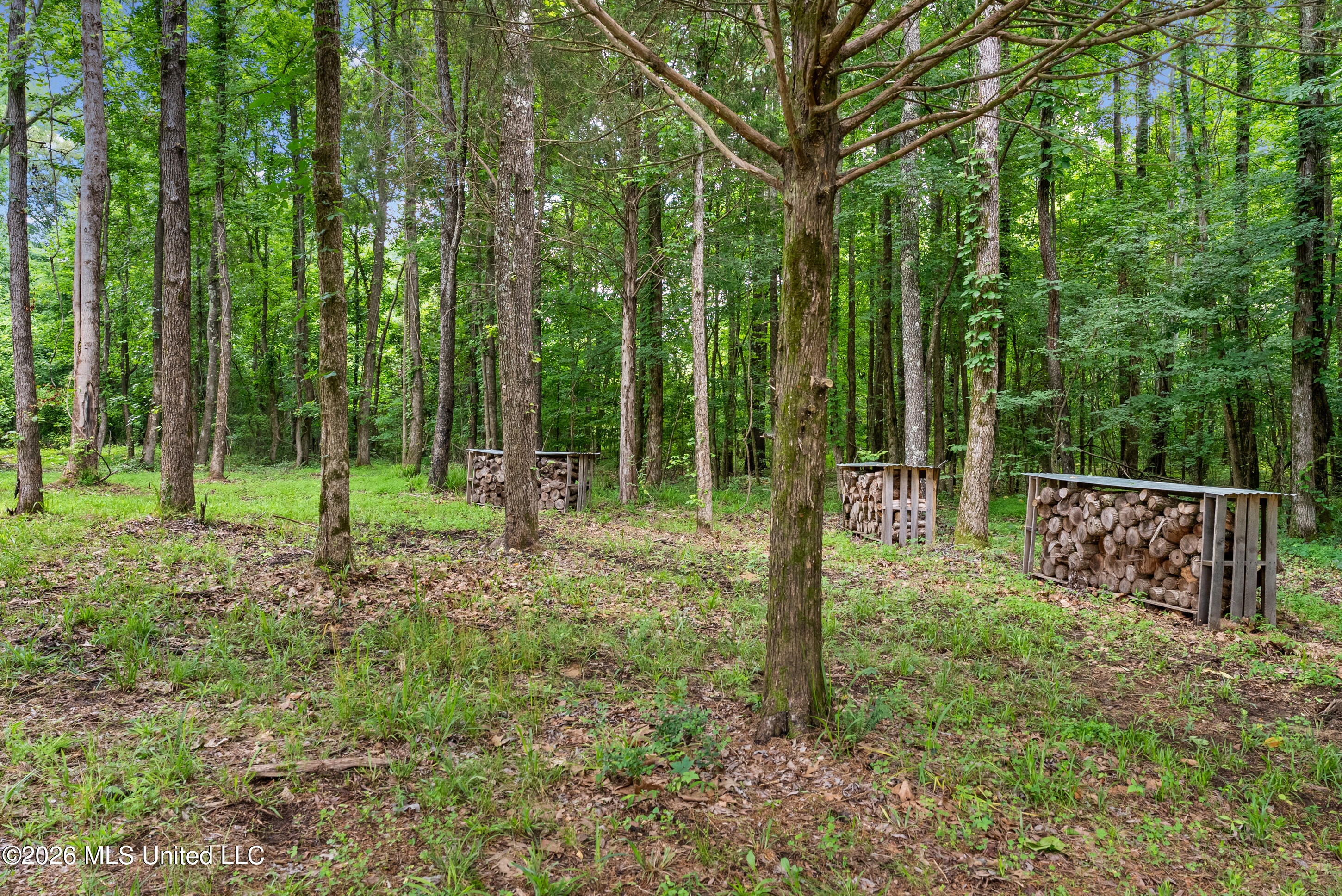 479 Hope Road Coldwater, MS 38618 - Photo 53 of 72 53_dsc01207_print