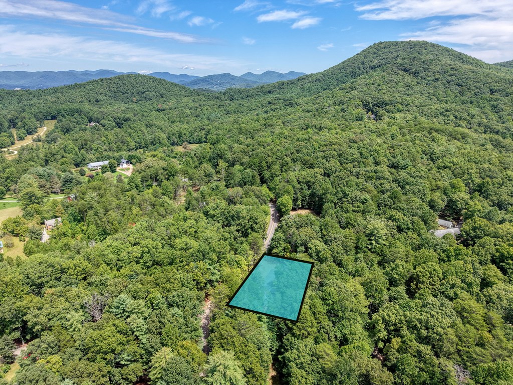 180 Laurel Ridge Road Blairsville, GA 30512 - Photo 34 of 34 Gallery Image 34
