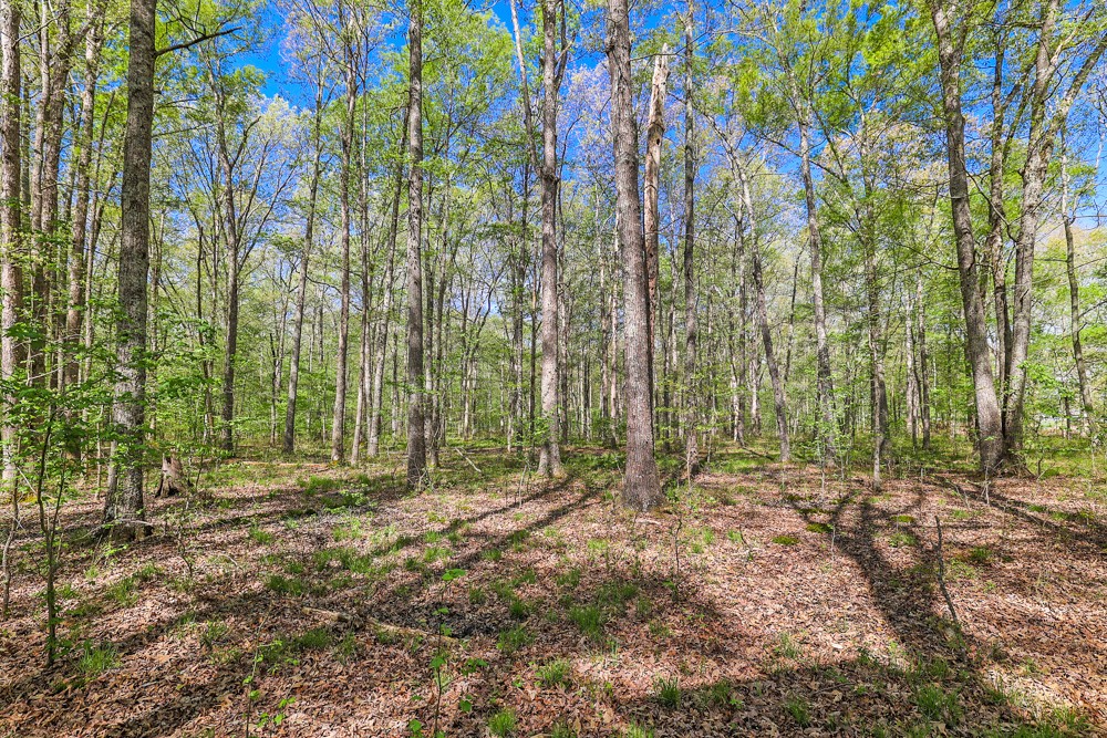 119 Lonnie Richardson Road Manchester, TN 37355 - Photo 54 of 59 Gallery Image 54