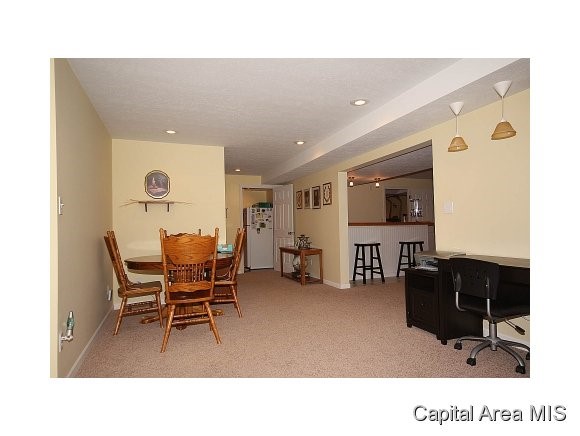 600 Heathrow Lane Rochester, IL 62563 - Photo 17 of 24