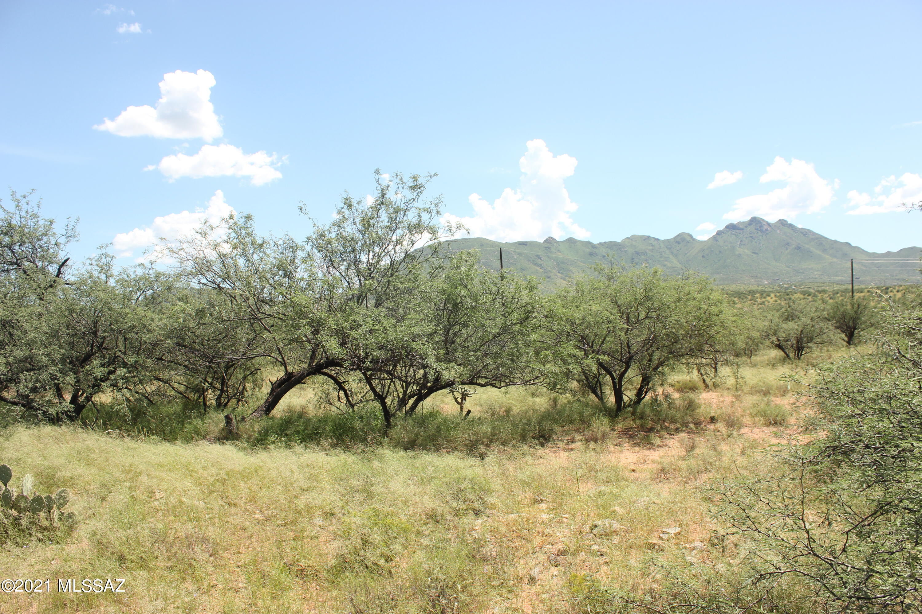 1768 Polonia Court, Unit 14 Rio Rico, AZ 85648 - Photo 1 of 3