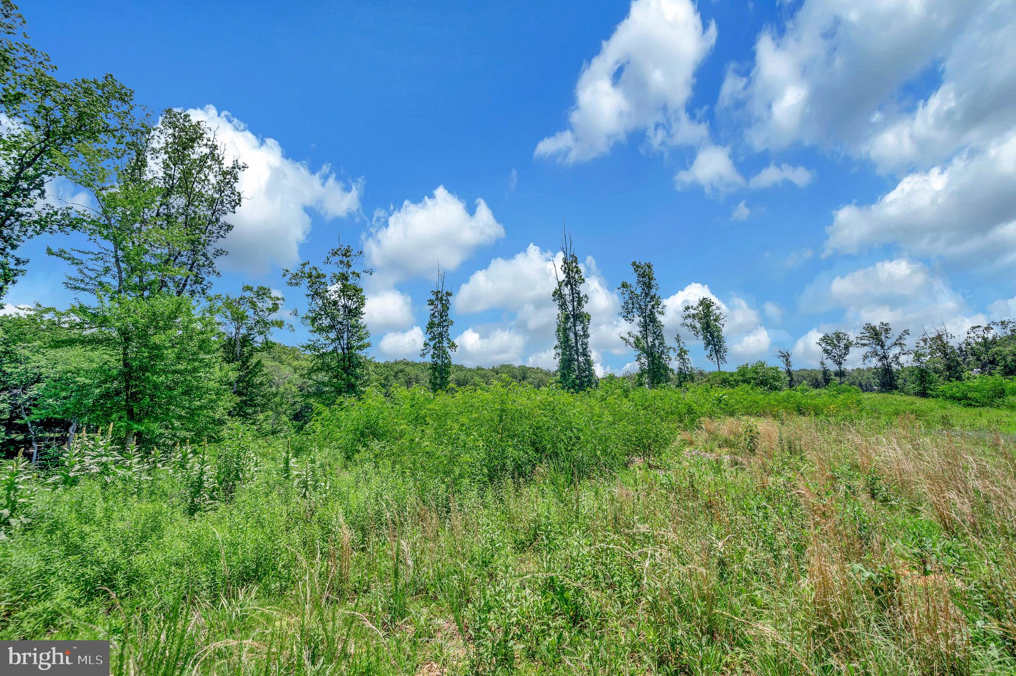 137 Rocky Run Road Fredericksburg, VA 22406 - Photo 11 of 25 a fire hydrant in middle of the green field