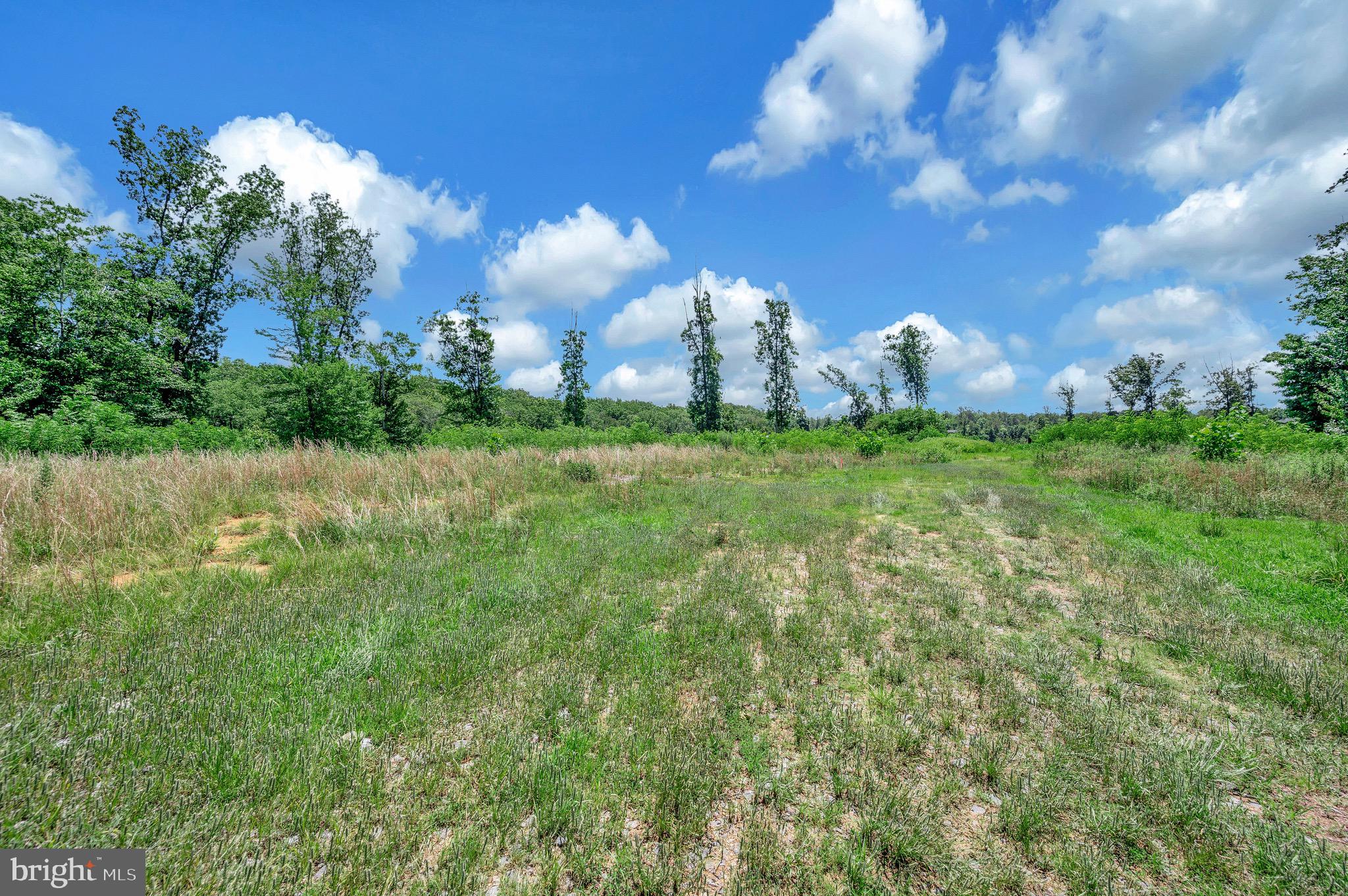 137 Rocky Run Road Fredericksburg, VA 22406 - Photo 12 of 25 a view of a house with a big yard and large trees