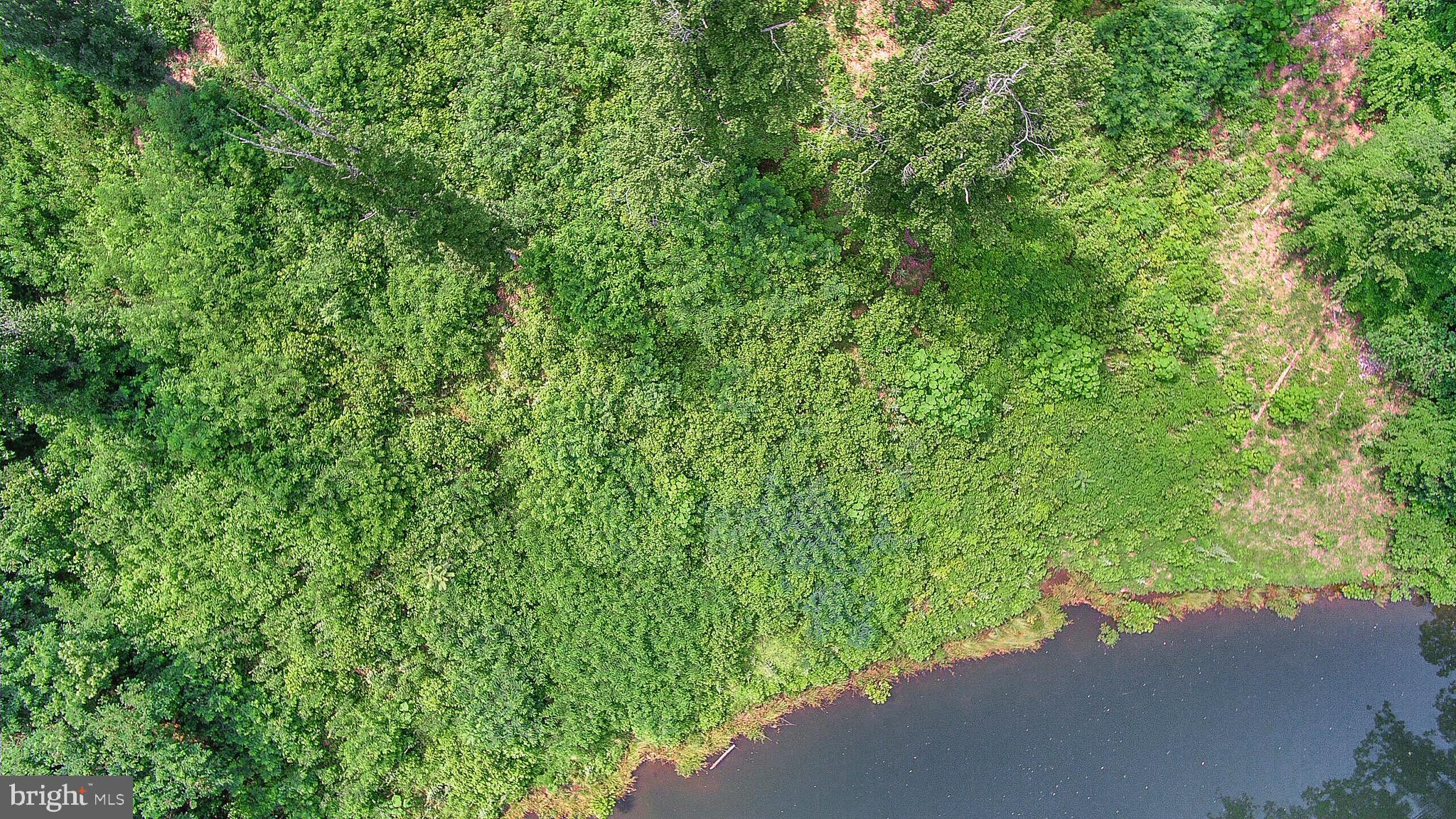 137 Rocky Run Road Fredericksburg, VA 22406 - Photo 17 of 25 a view of a yard with plants and a small yard