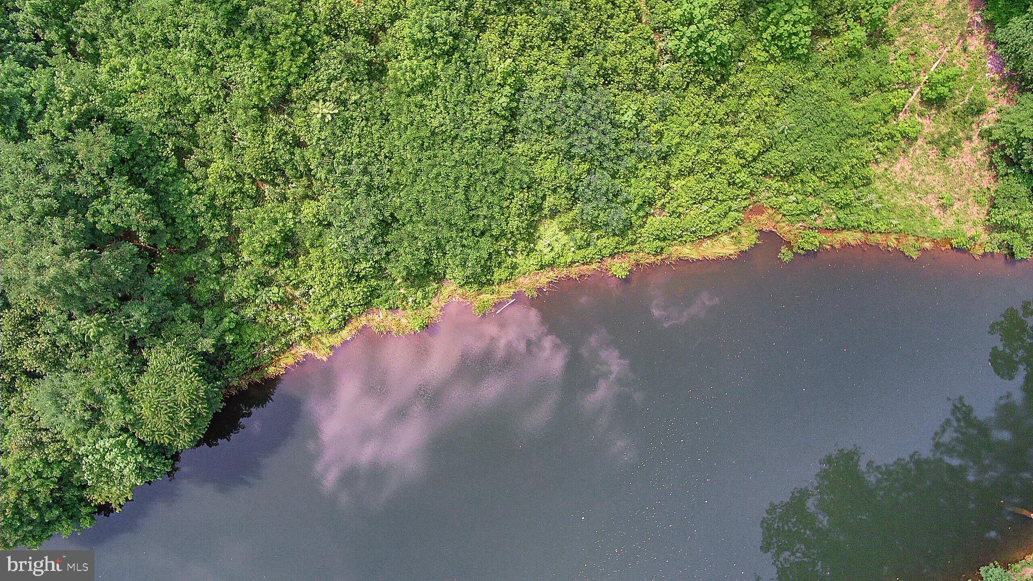 137 Rocky Run Road Fredericksburg, VA 22406 - Photo 18 of 25 a view of a forest with a tree