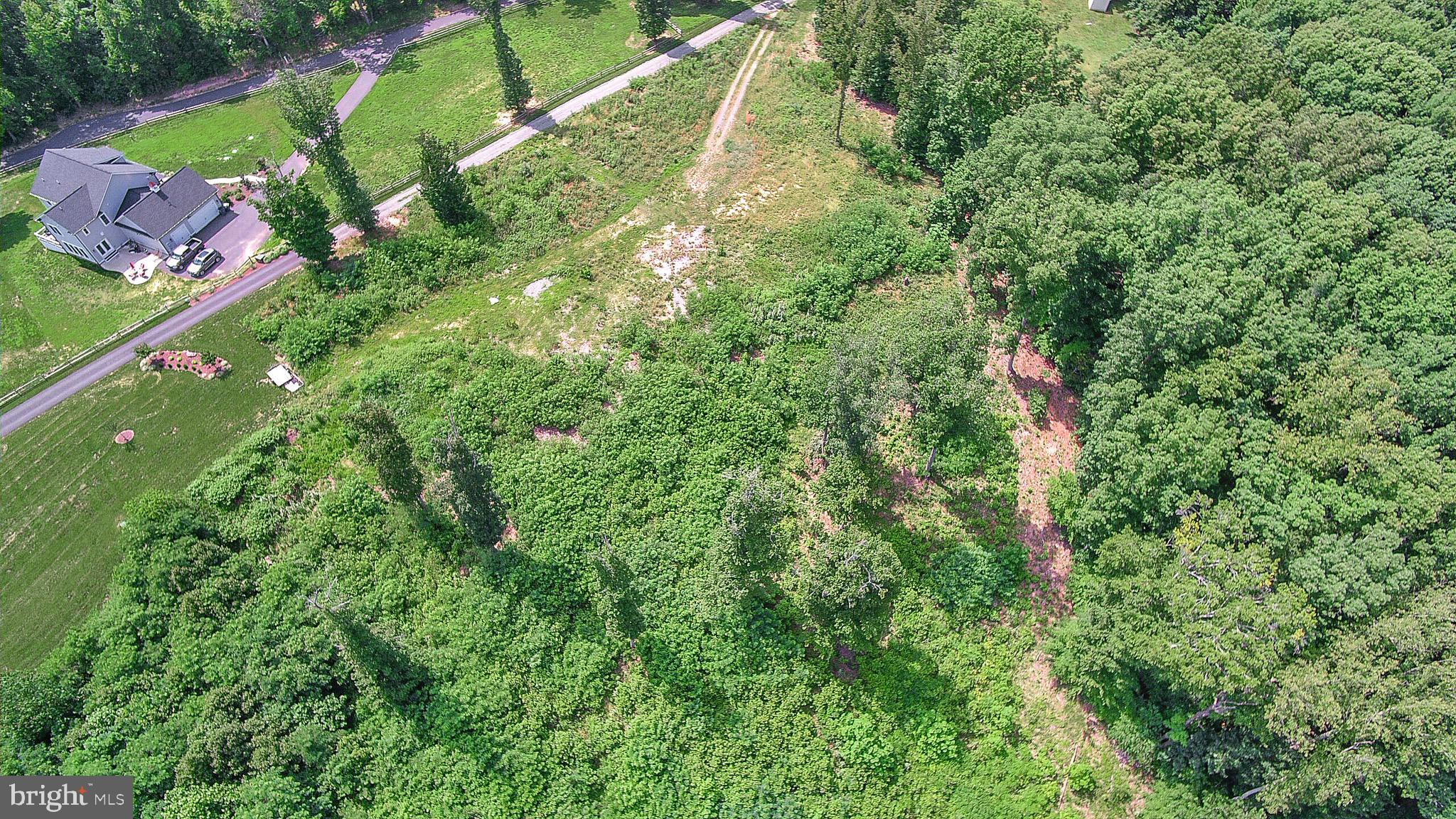 137 Rocky Run Road Fredericksburg, VA 22406 - Photo 20 of 25 a view of a yard with plants