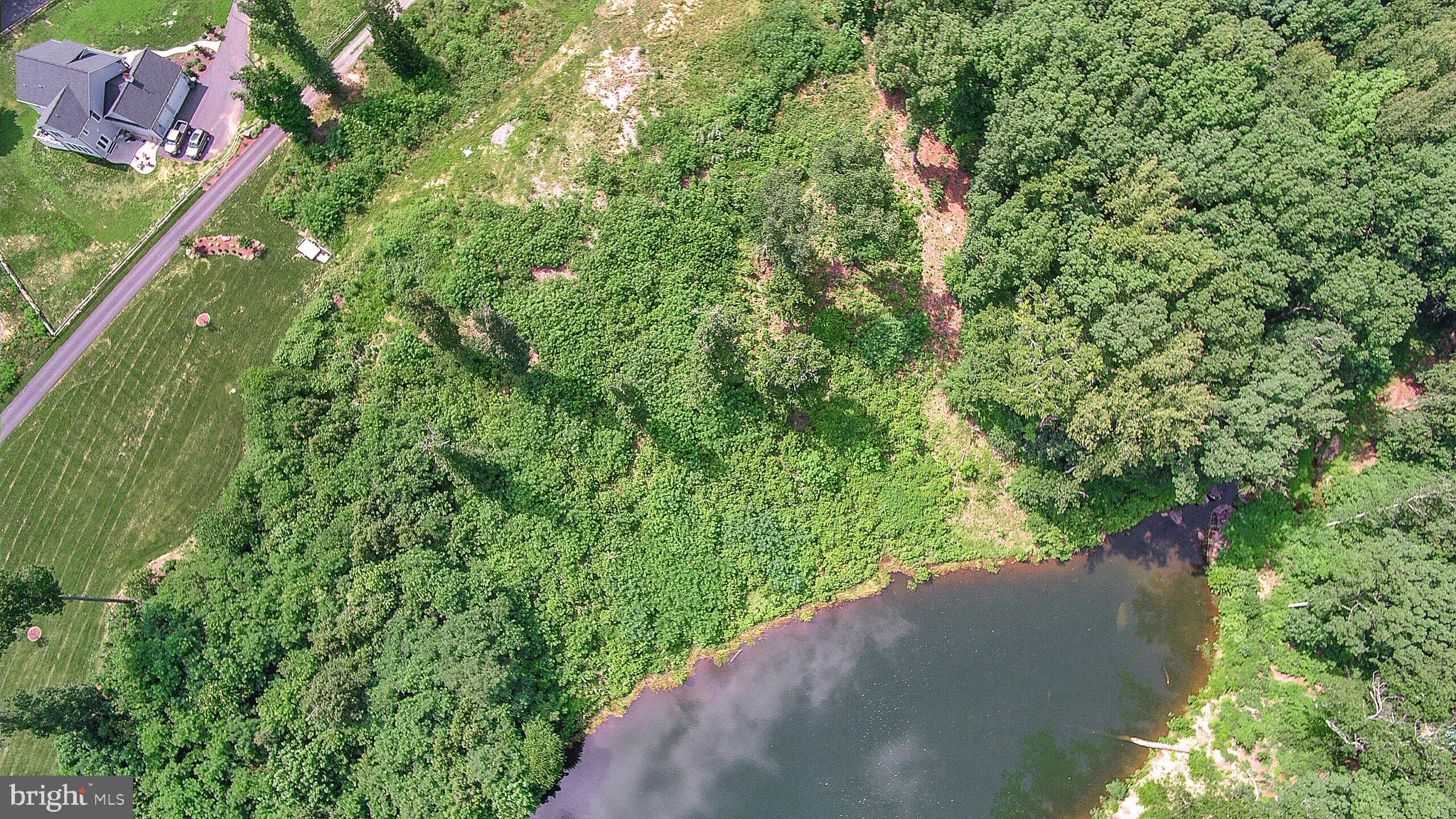 137 Rocky Run Road Fredericksburg, VA 22406 - Photo 22 of 25 a view of a yard with plants and a bench