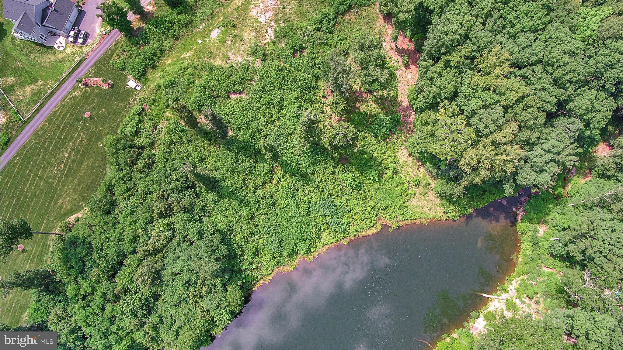 137 Rocky Run Road Fredericksburg, VA 22406 - Photo 23 of 25 a view of a yard with plants