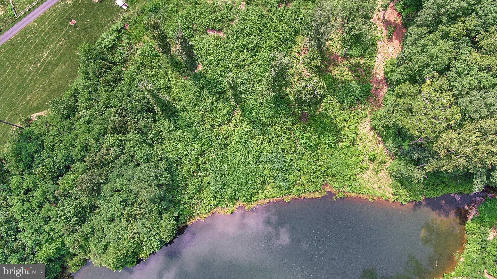 137 Rocky Run Road Fredericksburg, VA 22406 - Photo 24 of 25 a view of a big yard with lots of green space