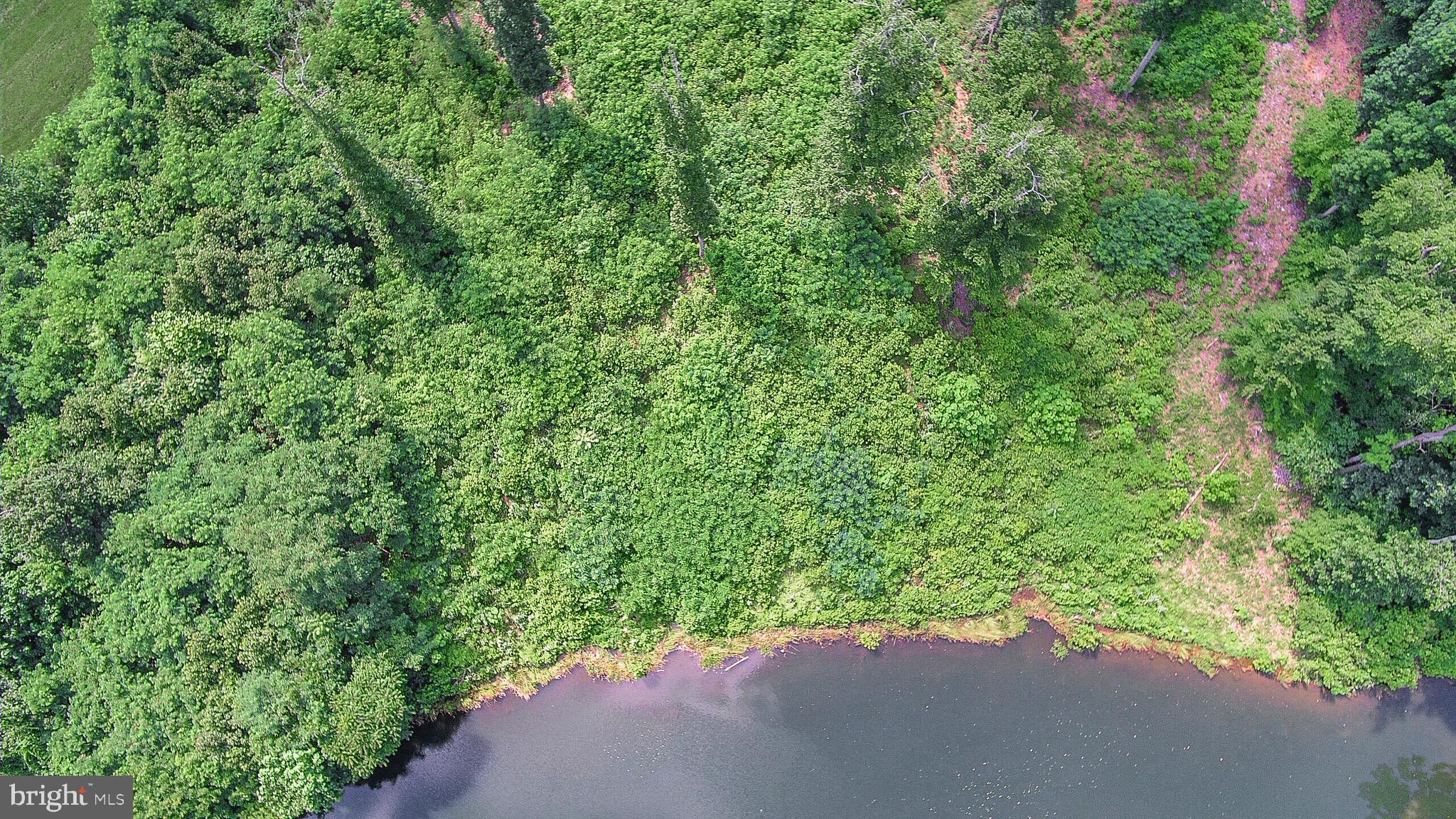 137 Rocky Run Road Fredericksburg, VA 22406 - Photo 25 of 25 a view of a forest with a street