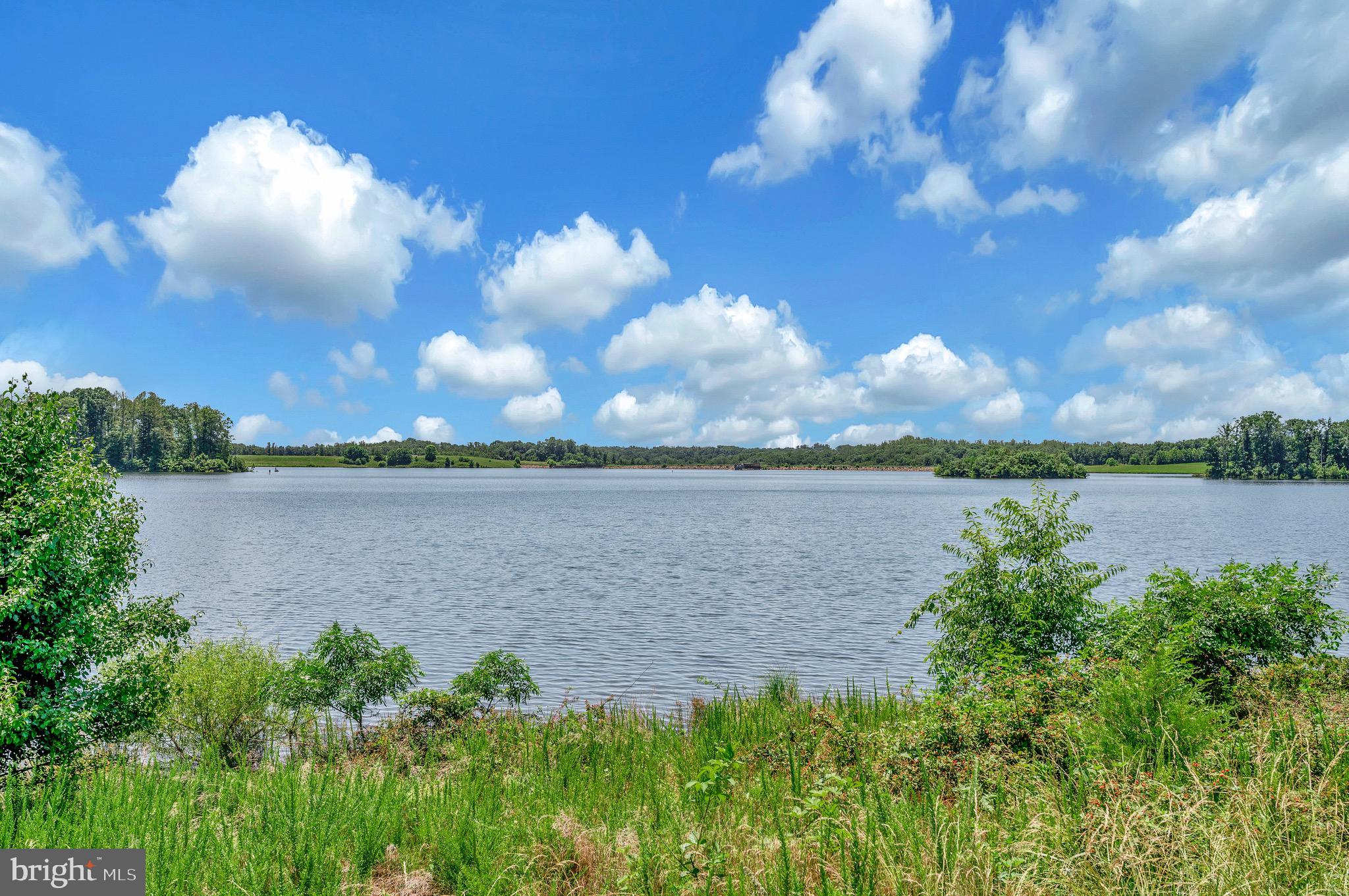 137 Rocky Run Road Fredericksburg, VA 22406 - Photo 7 of 25 a view of a lake from a yard
