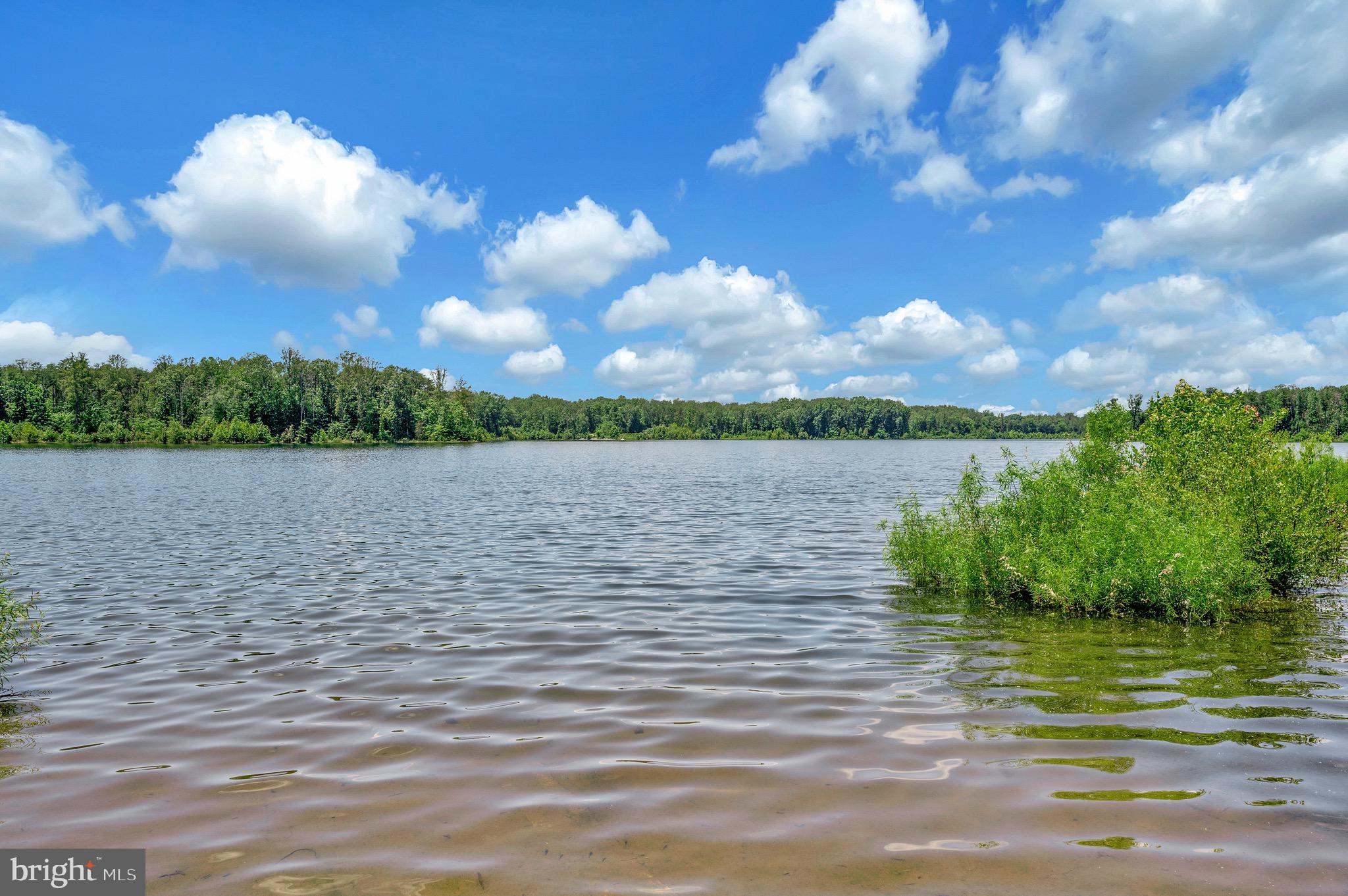137 Rocky Run Road Fredericksburg, VA 22406 - Photo 8 of 25 a view of lake with green space