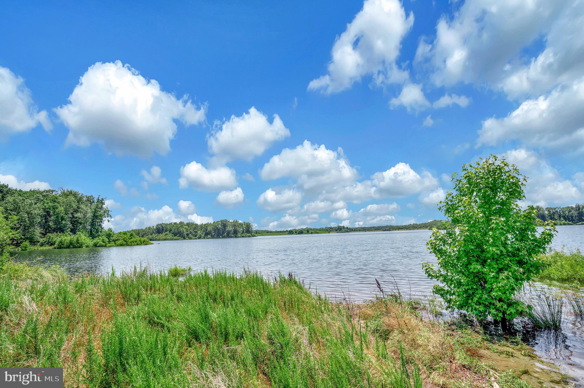 137 Rocky Run Road Fredericksburg, VA 22406 - Photo 9 of 25