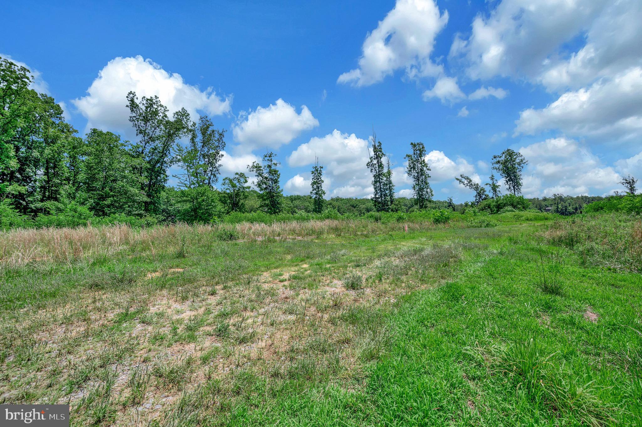 137 Rocky Run Road Fredericksburg, VA 22406 - Photo 10 of 25 a view of a field