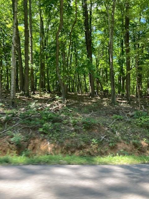 0 Old Mountain Road Penhook, VA 24137 - Photo 1 of 1 View of Property