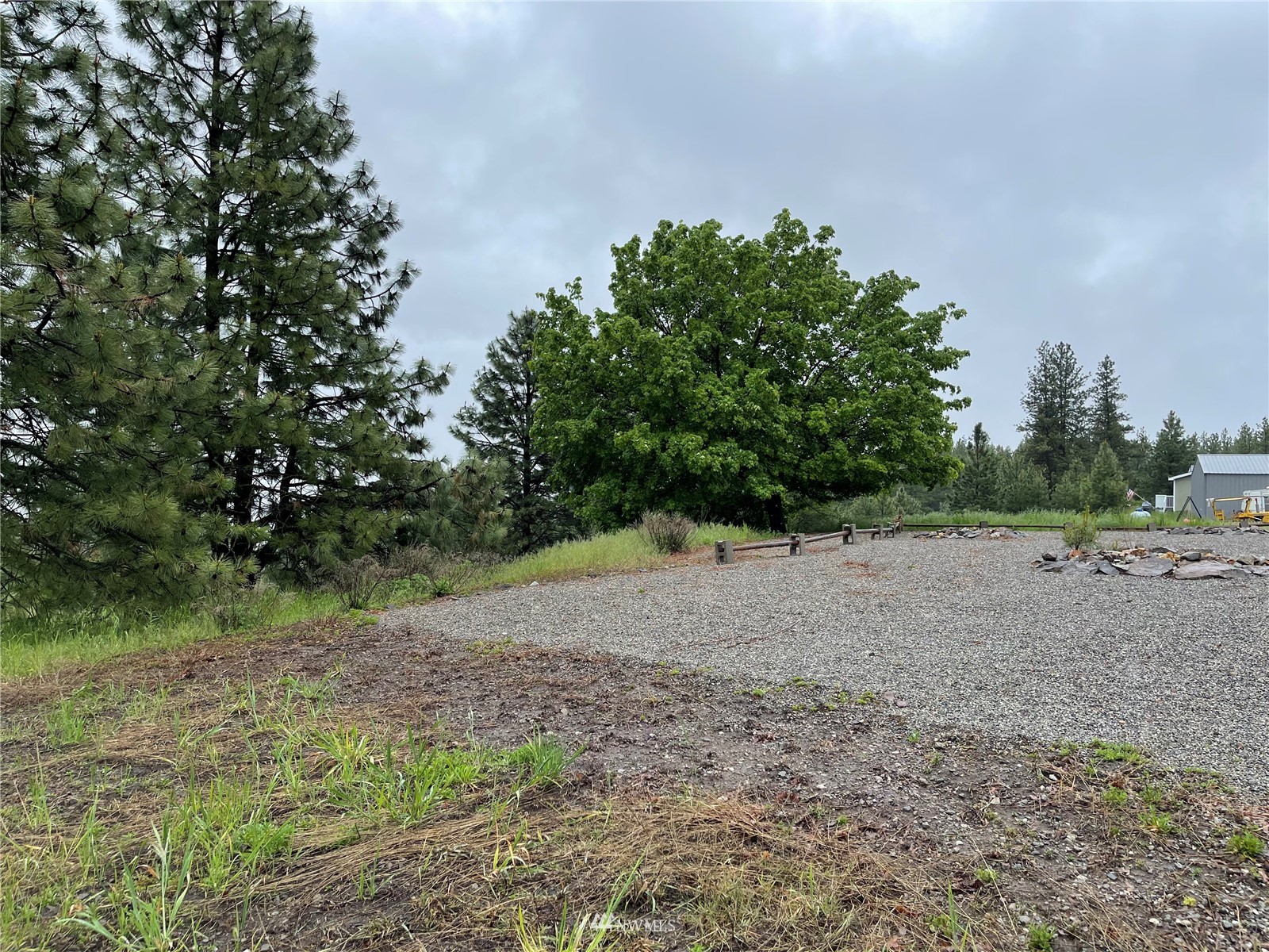 103 Klondike Road Republic, WA 99166 - Photo 27 of 38 a view of a yard with a tree