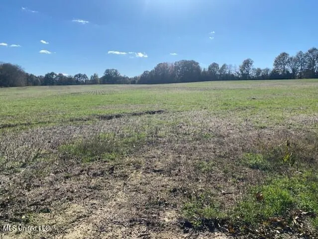 $330,000 | 306 Highway Coldwater Ms 38618, Coldwater, MS 38618