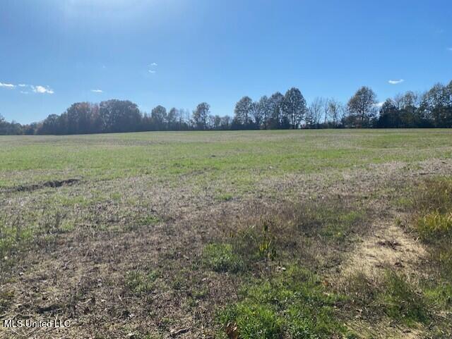 306 Highway Coldwater Ms 38618 Coldwater, MS 38618 - Photo 4 of 7 thumbnail_IMG_7237