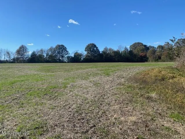 $330,000 | 306 Highway Coldwater Ms 38618, Coldwater, MS 38618