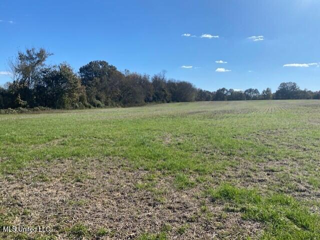 306 Highway Coldwater Ms 38618 Coldwater, MS 38618 - Photo 7 of 7 thumbnail_IMG_7240