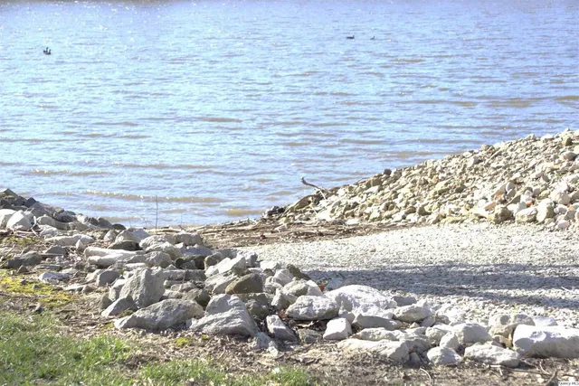 a view of dirt field with large trees