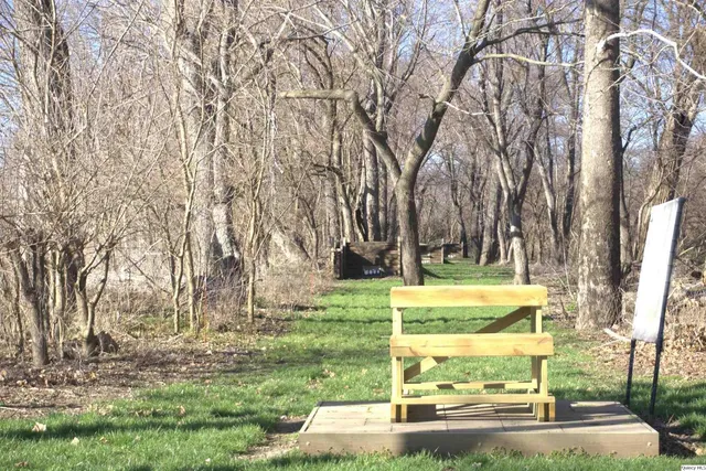 a lawn chairs sitting in the middle of a park