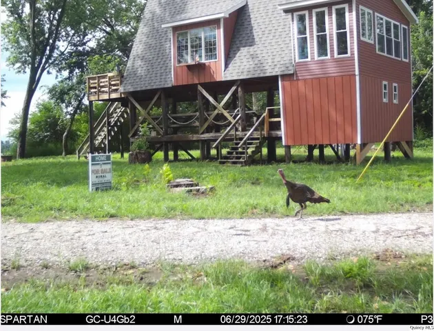 a view of a backyard of a house