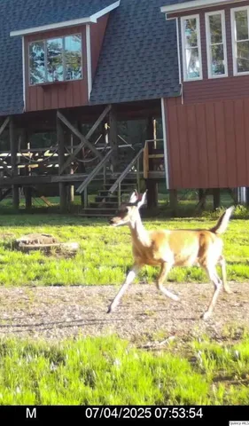 view of a tennis court
